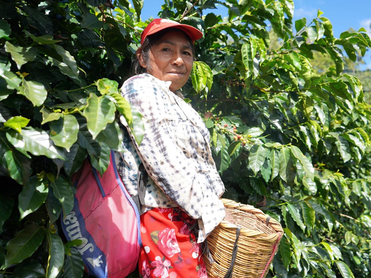 Celebrando el rol femenino en la industria cafetalera de Honduras