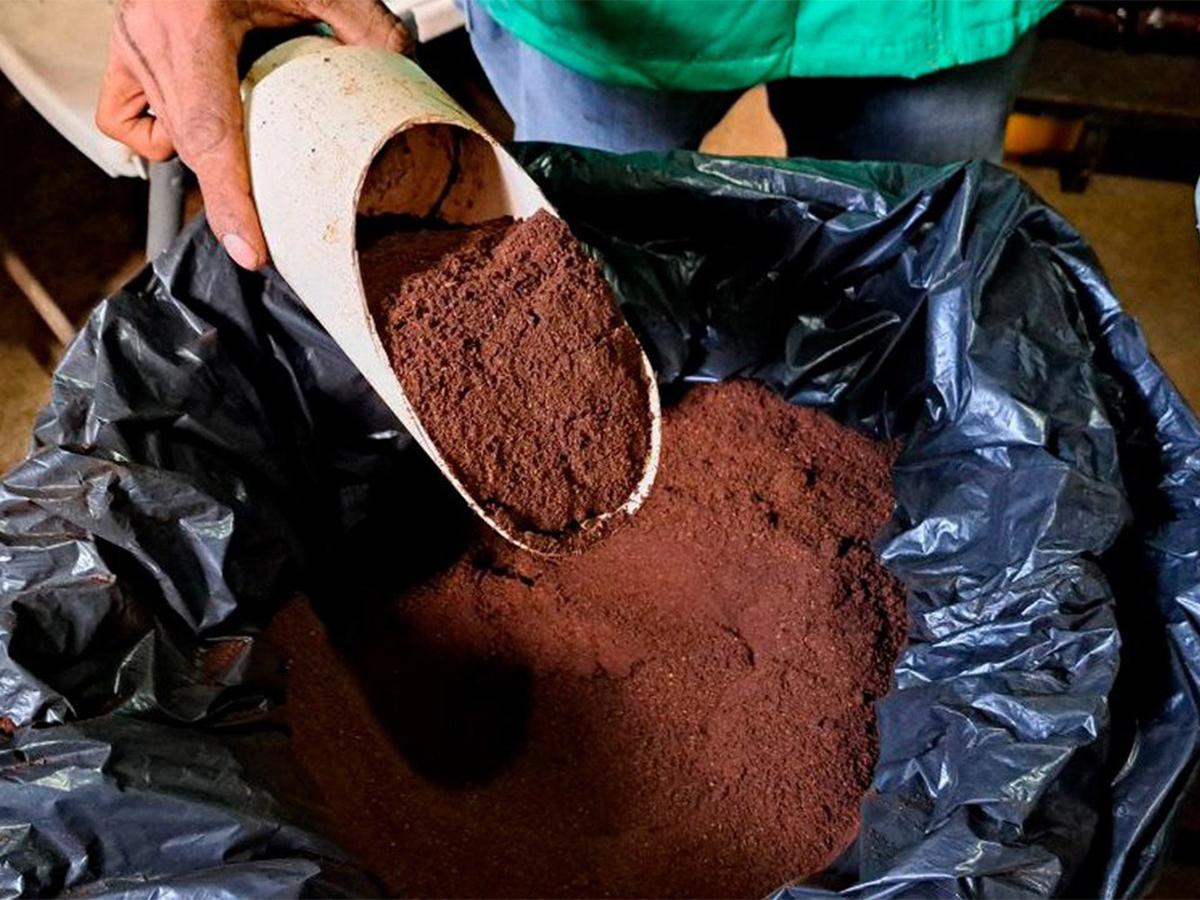 Invierten 20 millones de lempiras para impulsar la producción y distribución del café