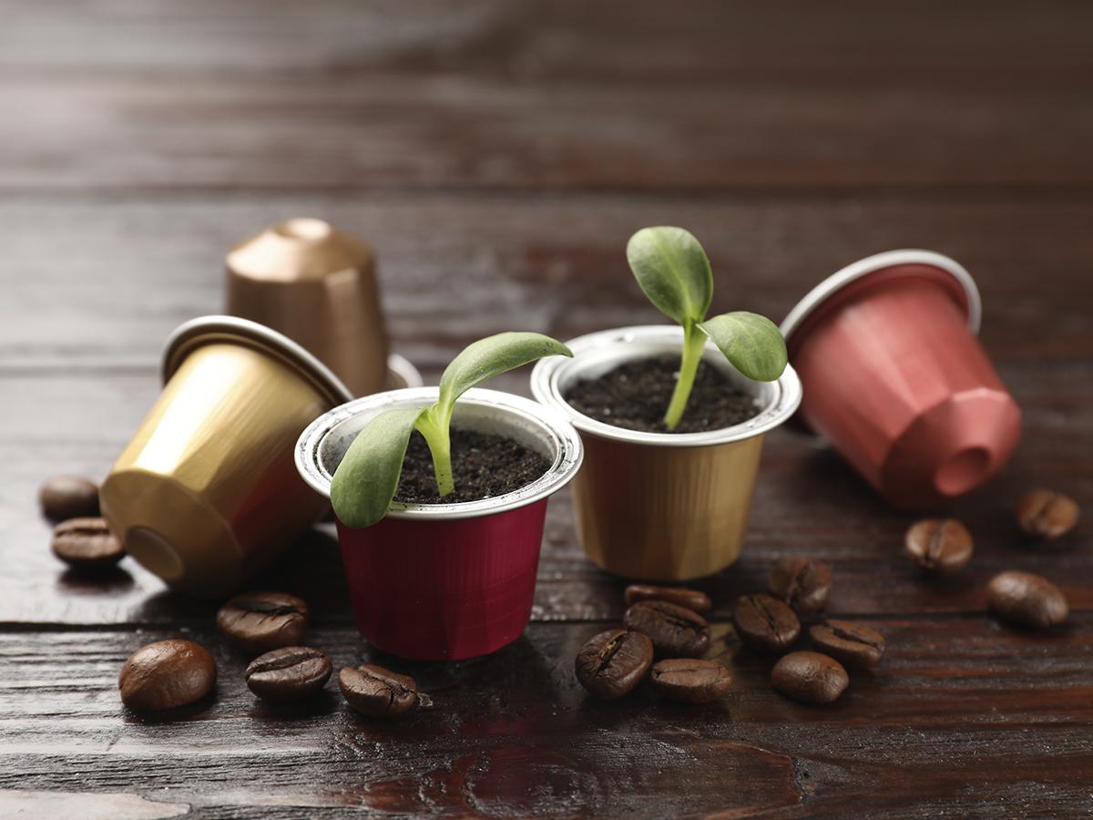 Los envases eco-amigables, como estos innovadores diseños de cápsulas de café, son la vanguardia de la sostenibilidad.