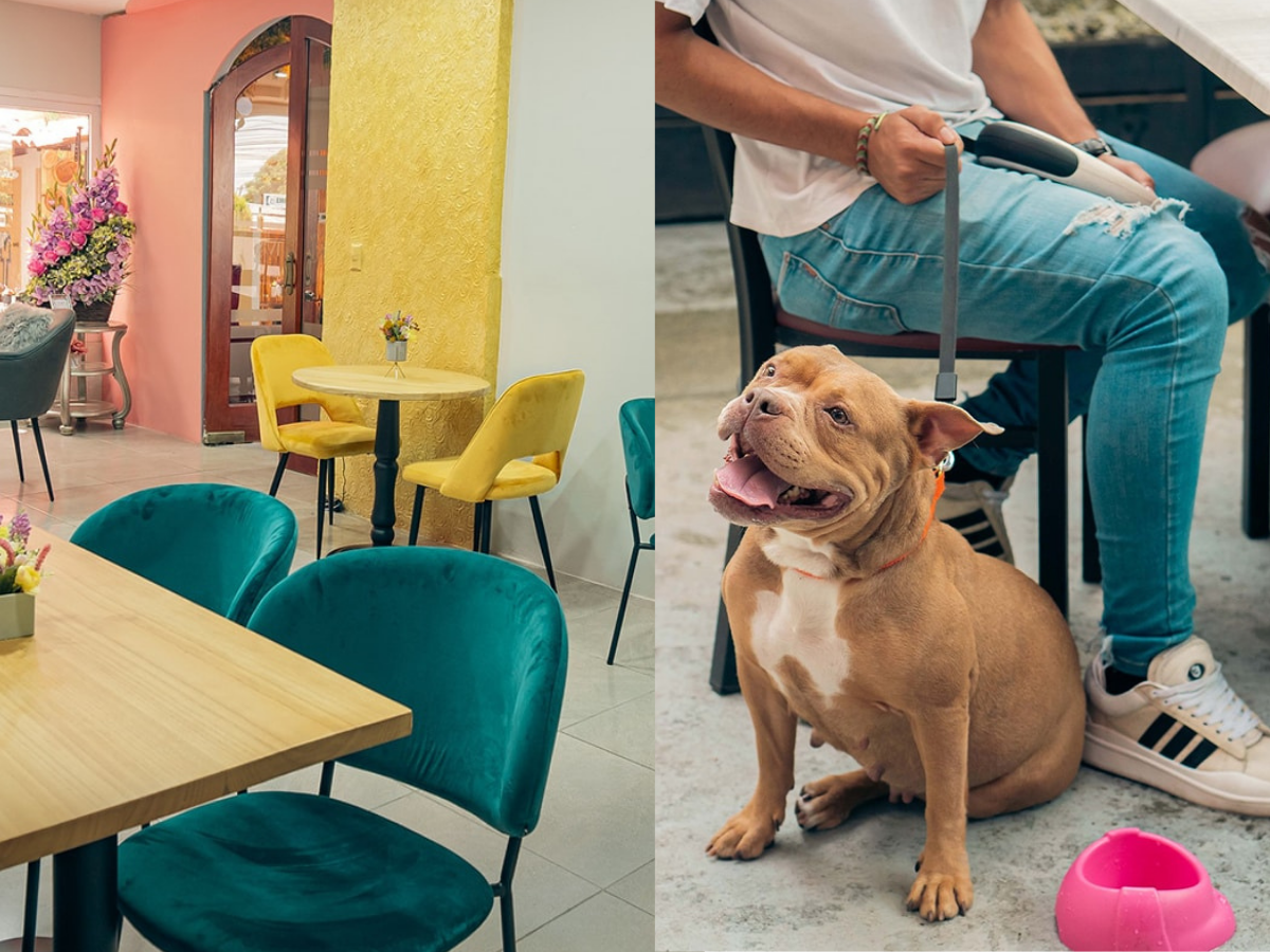 Abren restaurante para mascotas y sus dueños en San Pedro Sula