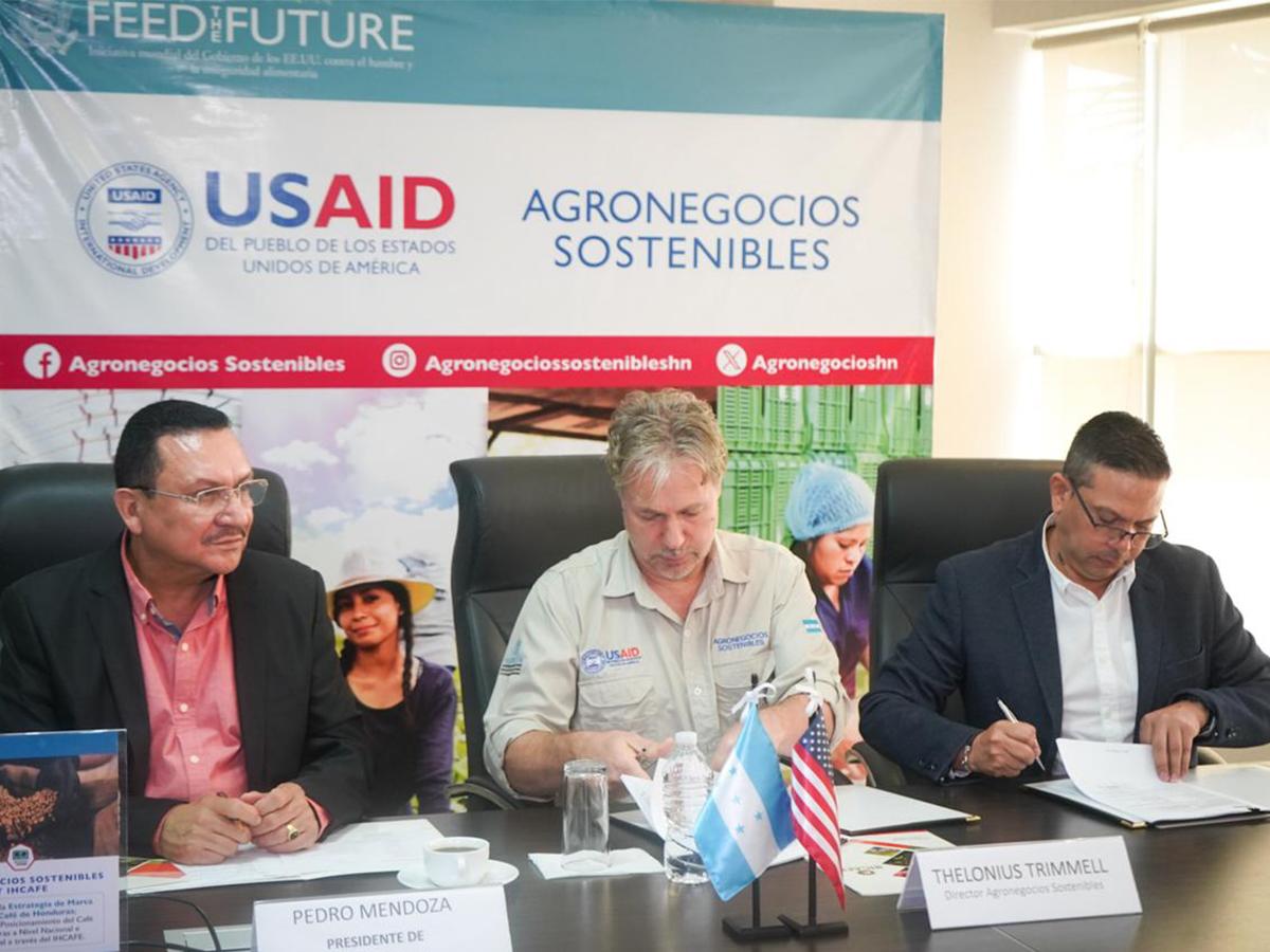 Un nuevo horizonte para el café hondureño: La alianza entre USAID a través de su proyecto Agronegocios Sostenibles y el IHCAFE marca el comienzo de una era de prosperidad y reconocimiento internacional.