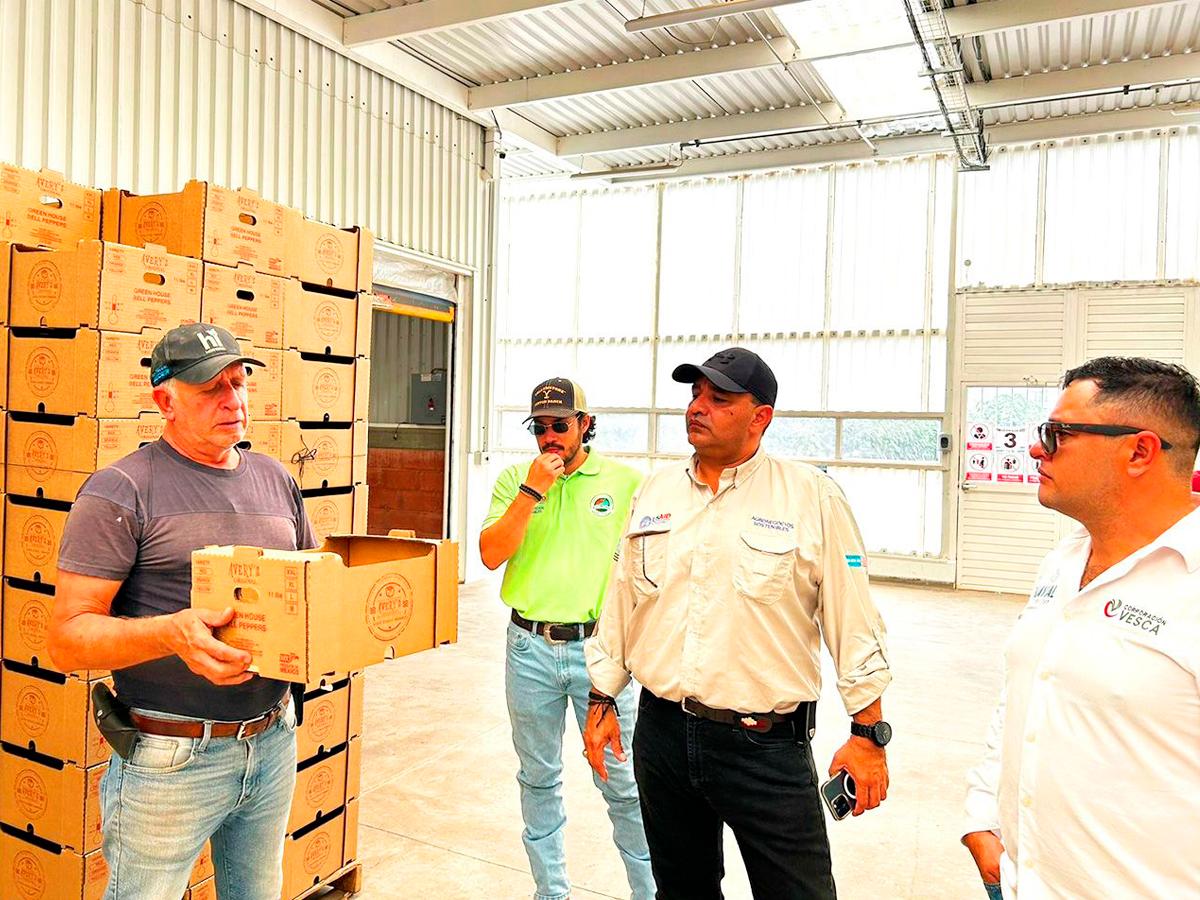 Los representantes de las empresas hondureñas conversaron con expertos del sector sobre el futuro de la horticultura y la importancia de adoptar prácticas sostenibles.