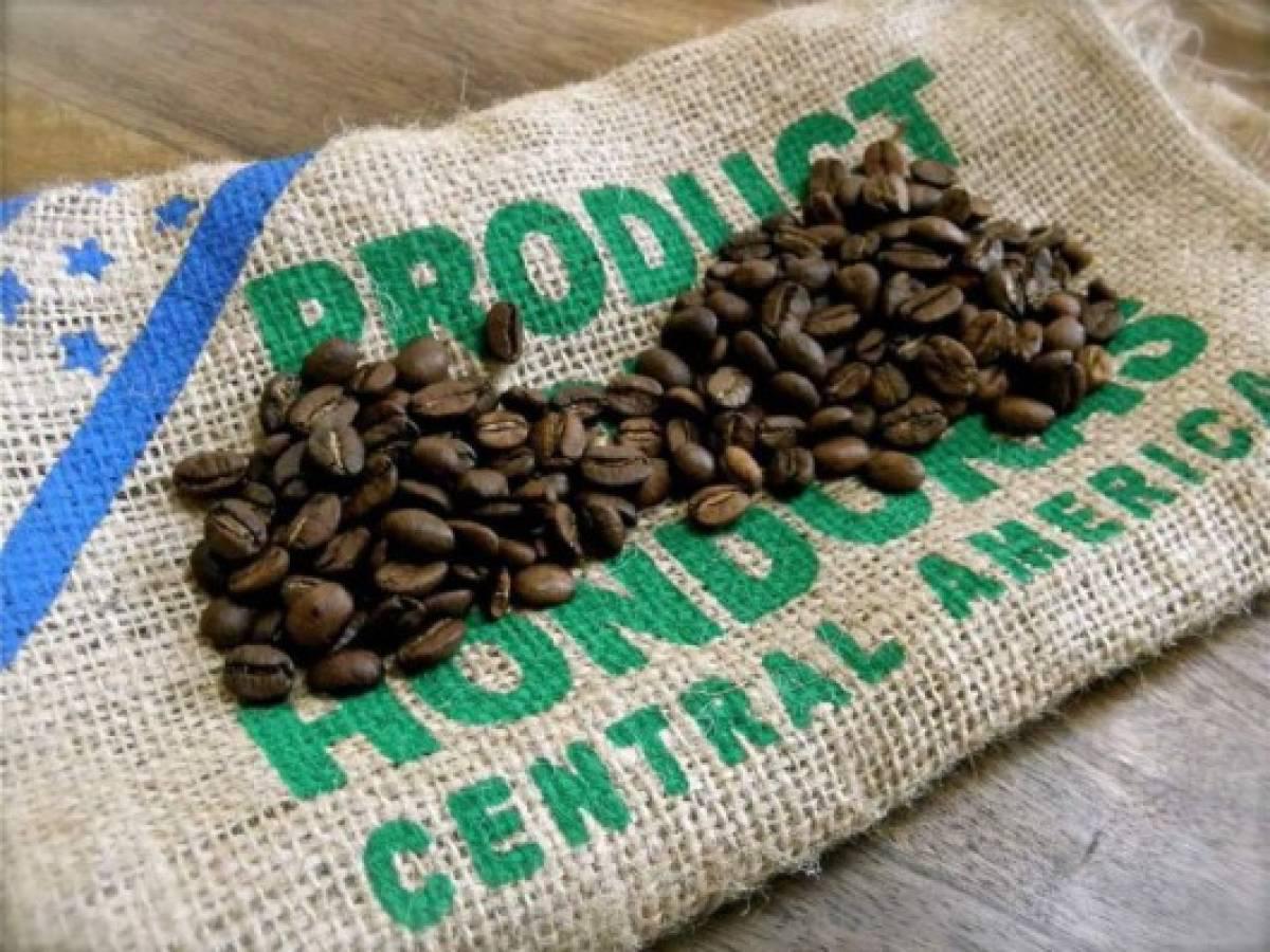 Estos son los 10 principales destinos de exportación de café de Honduras