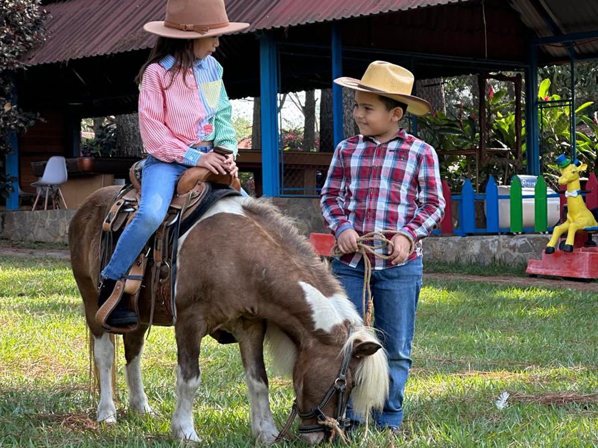 Los ponis siguen siendo la opción preferida para los niños, igual hay caballos para los jóvenes y adultos.