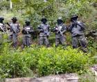 Las plantaciones de los arbustos de coca fueron localizadas en una zona boscosa de San Marcos, La Masica, Atlántida.