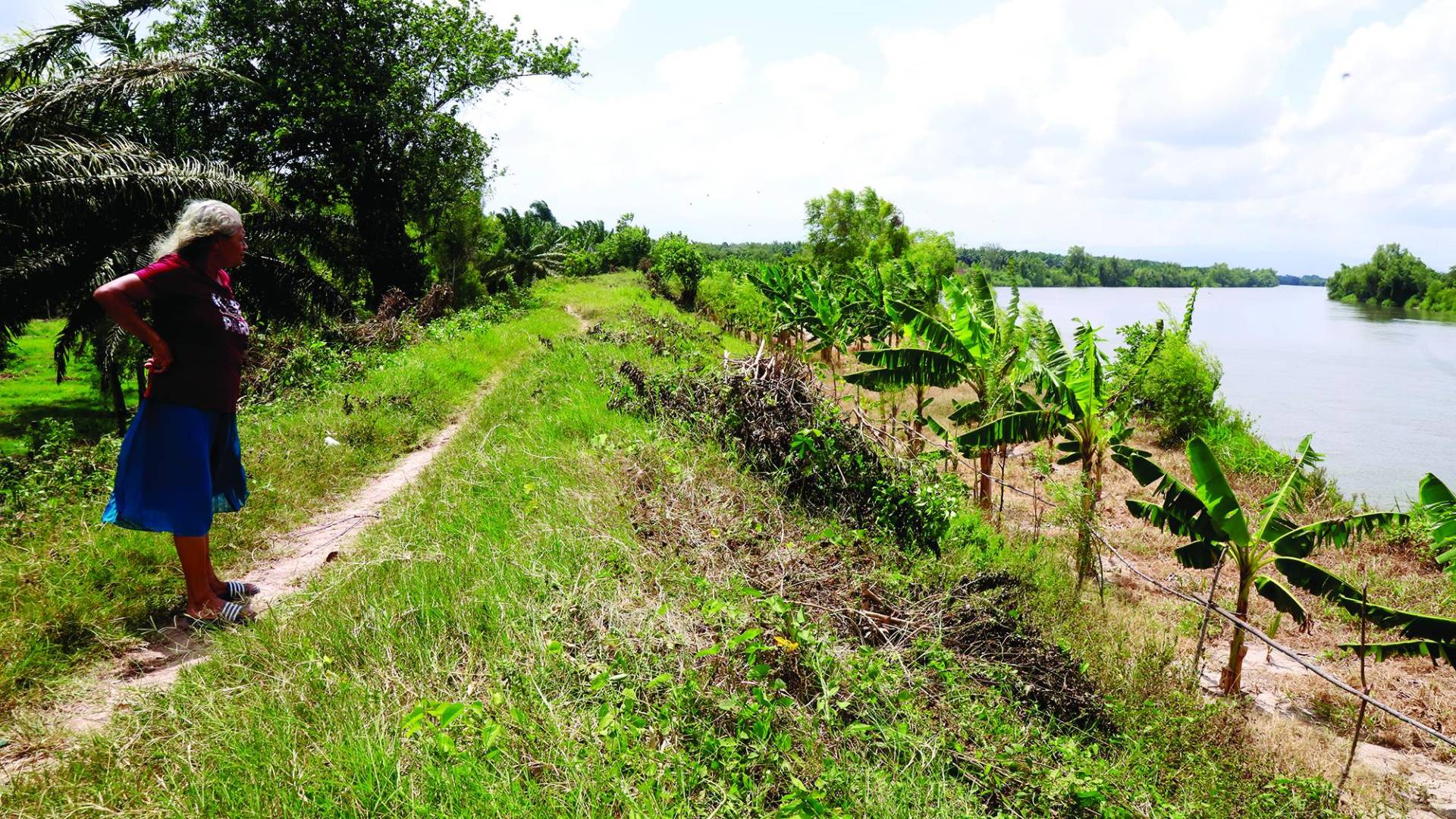$!El río Ulúa ha afectado el bordo, por lo que desde hace varios años los vecinos de Amapa han solicitado el reforzamiento con gaviones.