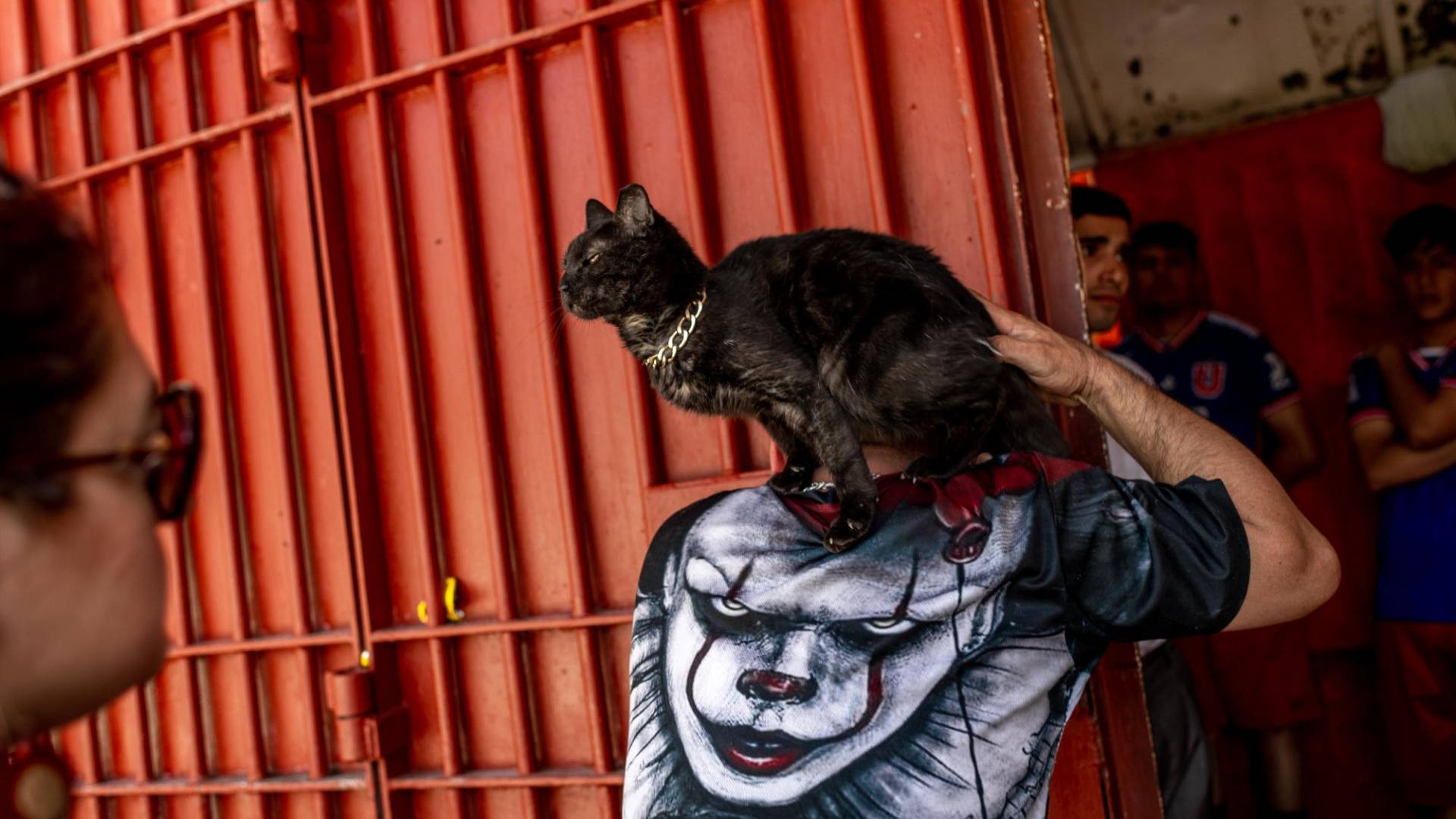 $!La prisión principal en Santiago de Chile tiene 5 mil 600 reos, muchos de los cuales han hallado consuelo cuidando gatos.