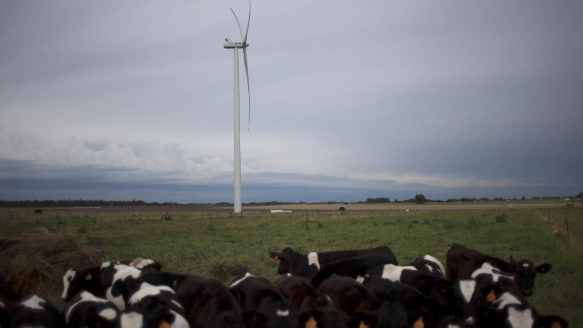 $!Uruguay genera casi toda su electricidad de fuentes renovables. Energía eólica en un parque cerca de Montevideo.