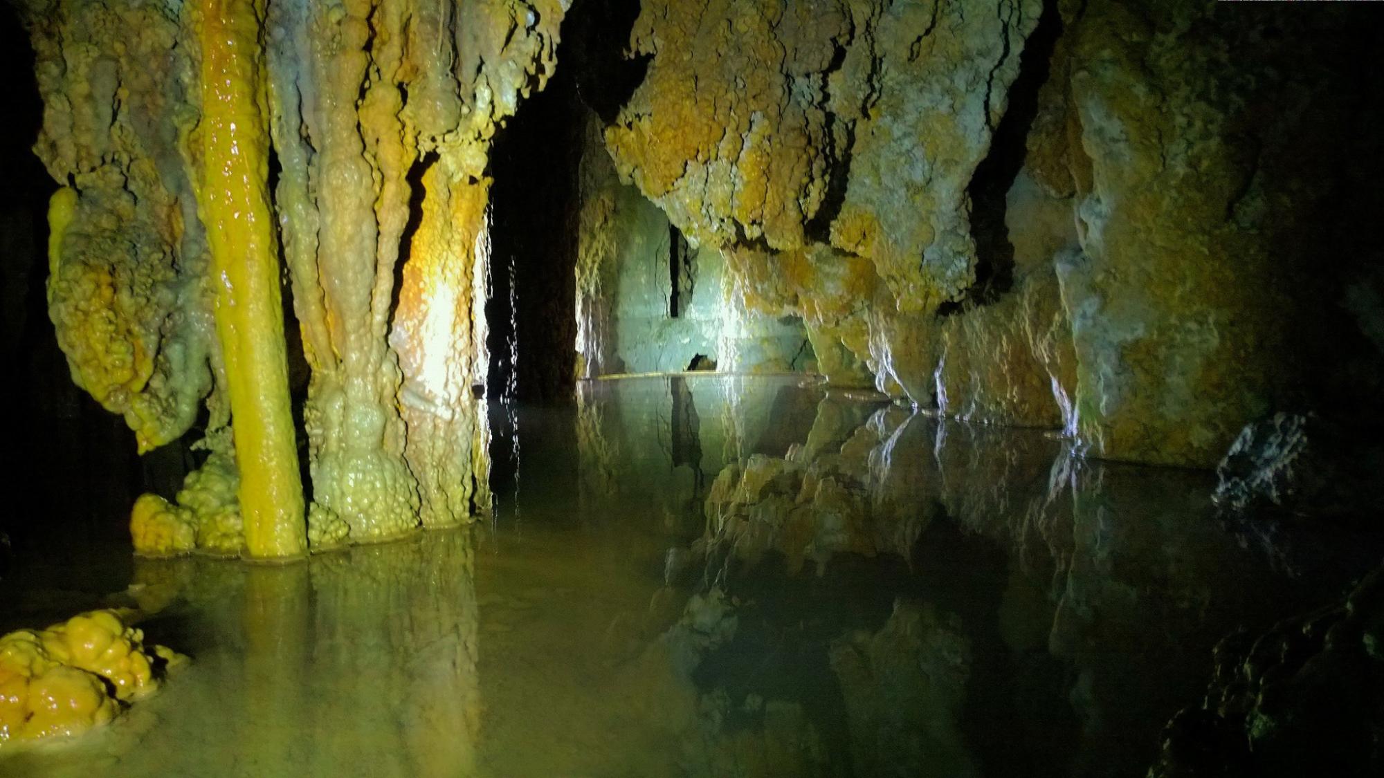 El avistamiento de aves y el disfrutar de las aguas termales en la cueva El Tejute son otras de las maravillas que esconde esta reserva natural. Es un lugar abierto al público en general, no se cobra el ingreso.