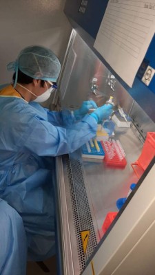 Solo 40 pruebas al día están haciendo en el laboratorio de virología de SPS