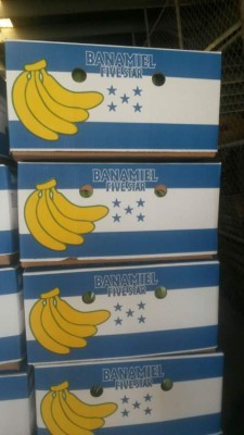 Liberación arancelaria elevará exportaciones de banano a la UE