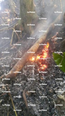 Confirman que humo blanco en Pico Bonito no es volcánico