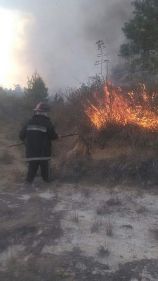 Foto: La Prensa