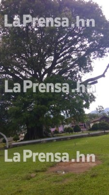 Foto: La Prensa