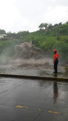 Foto: La Prensa