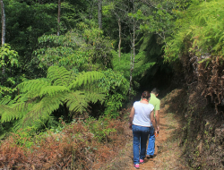 Científicos estudian aves del Parque Nacional Cerro Azul Meámbar