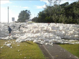 Ciudad de Australia despierta tapada por espuma marina