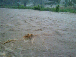 Fotos: Tormenta inunda varias zonas del norte de Honduras