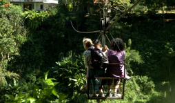 Optimistas por flujo turístico en La Ceiba