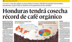 Honduras, primer exportador mundial de café orgánico