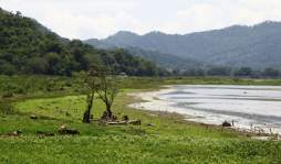 El Lago de Yojoa lleva una década de destrucción imparable