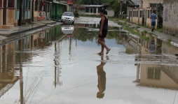 Siguen sufriendo por aguas negras en San Pedro Sula