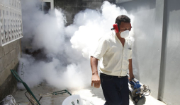 Decretan emergencia por alza en casos de dengue