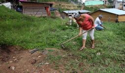 Cepal: Honduras registra mayor pobreza de América Latina