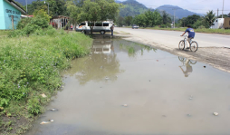 Vecinos de Quebrada Seca en riesgo por criaderos de zancudos