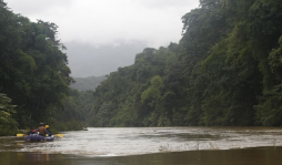Honduras ya tiene cuatro bosques modelos