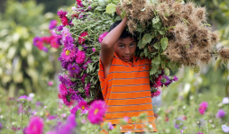 Más de 150 compradores participarán en agroferia