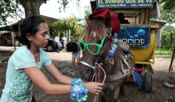 Richard Rodríguez con su 'caballo publicista” enfrenta la adversidad