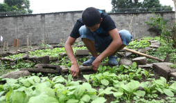 Rehabilitación en El Carmen se logra con terapia ocupacional