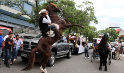 Desfile de caballos y carrozas cautivó a sampedranos