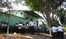 Árboles sirven como aula de clases para 45 alumnos en San Manuel