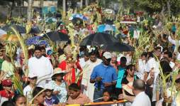 Masivas procesiones en el domingo de ramos