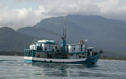 Pescadores industriales anuncian protestas en los puertos de Honduras