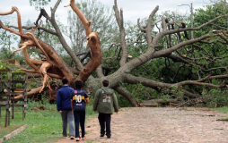 Tormentas dejan 10 muertos en Bolivia, Uruguay y Paraguay