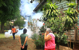 Reportan otra víctima mortal por dengue de San Pedro Sula
