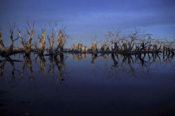Un pueblo fantasma resurge de las aguas en Argentina