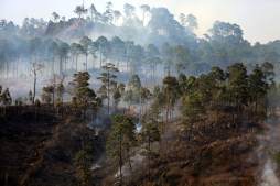 De nuevo arden bosques en Tegucigalpa