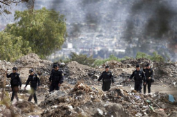 Atribuyen a perros salvajes cuatro muertes en parque de México