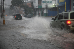 Reportan casas inundadas y árboles caídos en San Pedro Sula