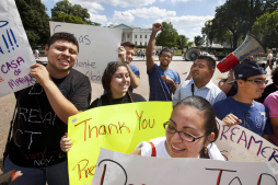 Juntos pero no revueltos: 'dreamers' y activistas