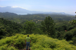 Científicos estudian aves del Parque Nacional Cerro Azul Meámbar