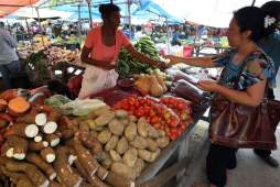 Paquetazo fiscal hundirá en la pobreza a 83,000 hondureños