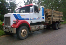 Decomisan camión con 6,000 pies de madera