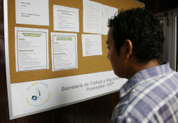 Más de 30 mil menores de edad trabajan en San Pedro Sula