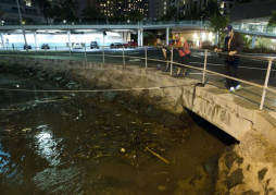 Tsunami generado en Canadá llega a Hawai sin causar daños