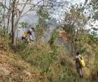 Los bomberos encuentran pedazos de vidrio en las zonas que atienden por lo que buscan crear conciencia en la población sobre los efectos que puede tener con los rayos de sol y la vegetación seca más las altas temperaturas,